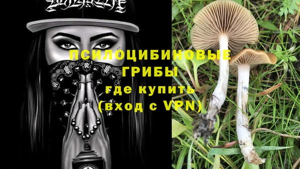 хмурый Белоозёрский