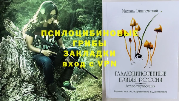 хмурый Белоозёрский